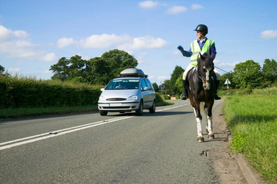 can you get a DUI on a horse?