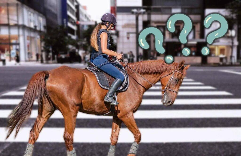 horse riding public road rules