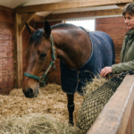 laminitis in horses feeding