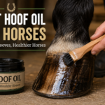 best hoof oil for horses