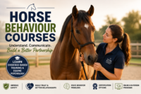 7 Powerful Benefits of Horse Behaviour Courses