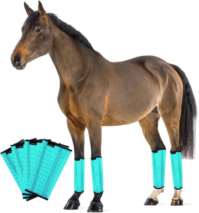 Boots for Horses With Laminitis 1