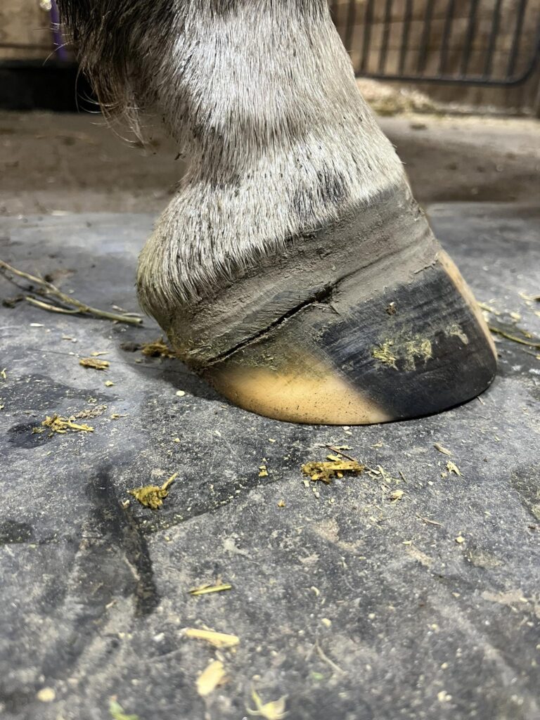 Can a bad trim cause an abscess
