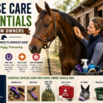Horse Care Essentials for New Owners 1