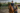 Horse Riding Lessons for Adults