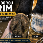 how do you trim a horse's hooves