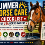 Summer horse care checklist usa horse owners