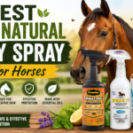Best Fly Spray for Horses