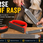 Best Horse hoof rasp
