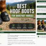 Best hoof boots for barefoot horses