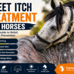 Sweet Itch Treatments for Horses