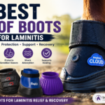 best hoof boots for laminitis