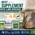 Best Hoof Supplement for White Line Disease