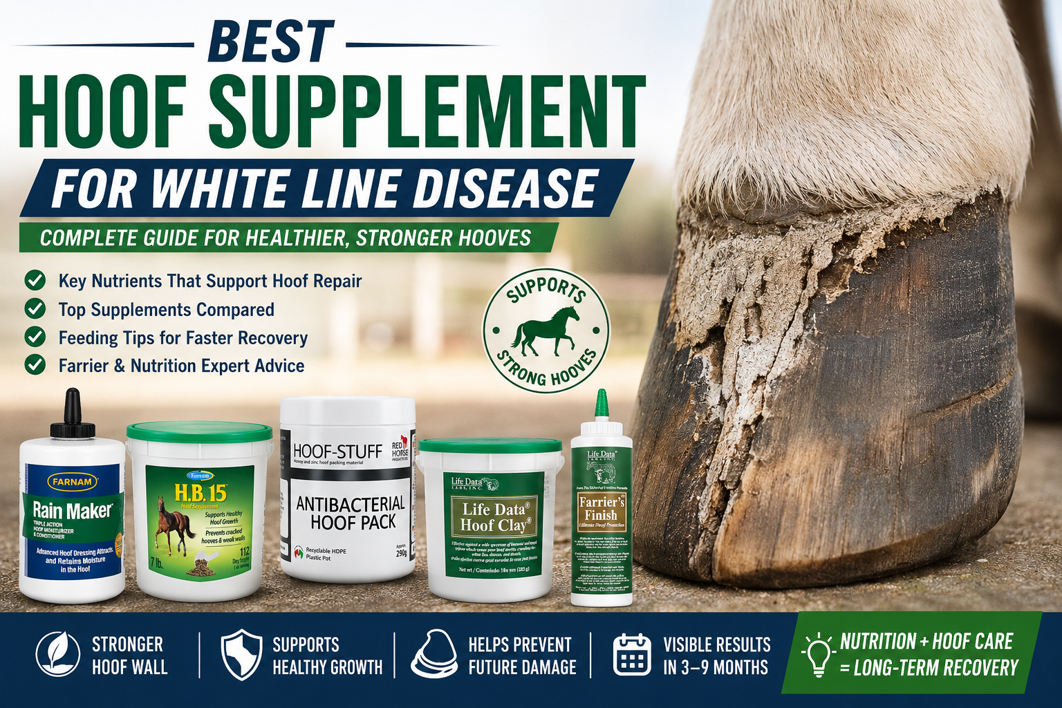 Best Hoof Supplement for White Line Disease