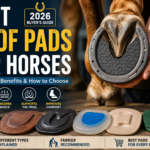 Best hoof pads for horses