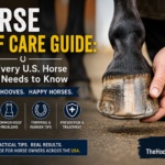 Horse Hoof Care Guide